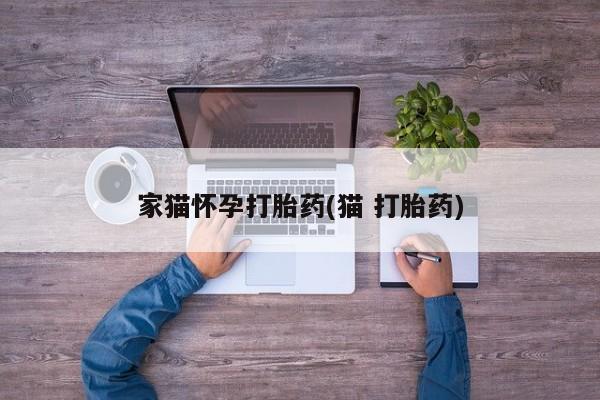 打胎药全国包邮微信家猫怀孕打胎药(猫 打胎药)
